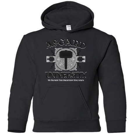 Sweatshirts Black / YS Asgard University Youth Hoodie