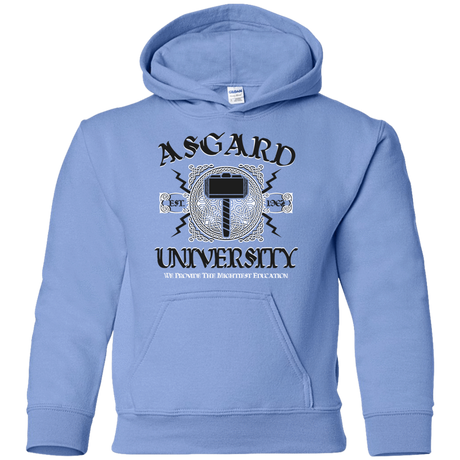 Sweatshirts Carolina Blue / YS Asgard University Youth Hoodie