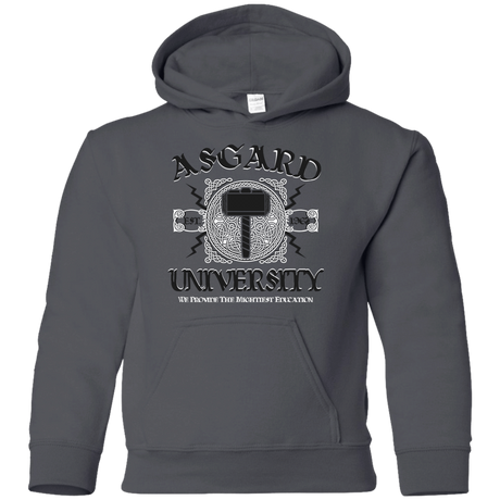 Sweatshirts Charcoal / YS Asgard University Youth Hoodie