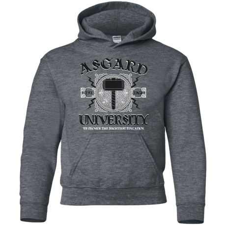Sweatshirts Dark Heather / YS Asgard University Youth Hoodie