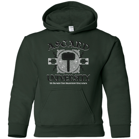 Sweatshirts Forest Green / YS Asgard University Youth Hoodie