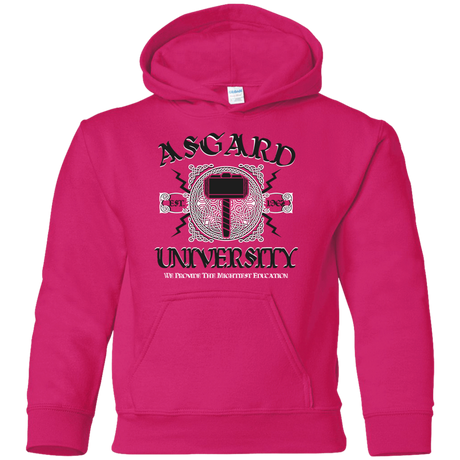 Sweatshirts Heliconia / YS Asgard University Youth Hoodie