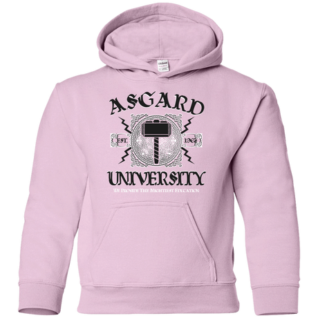 Sweatshirts Light Pink / YS Asgard University Youth Hoodie