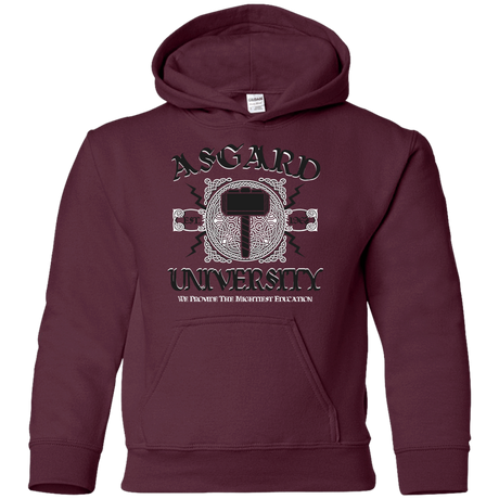 Sweatshirts Maroon / YS Asgard University Youth Hoodie