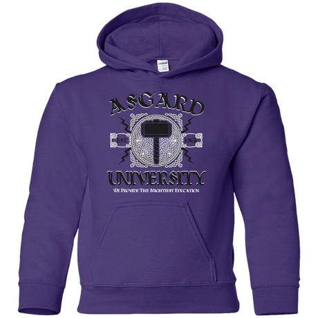 Sweatshirts Purple / YS Asgard University Youth Hoodie