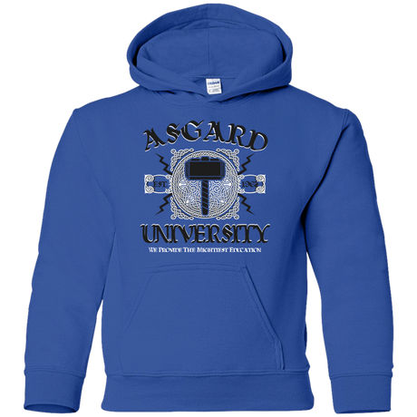 Sweatshirts Royal / YS Asgard University Youth Hoodie