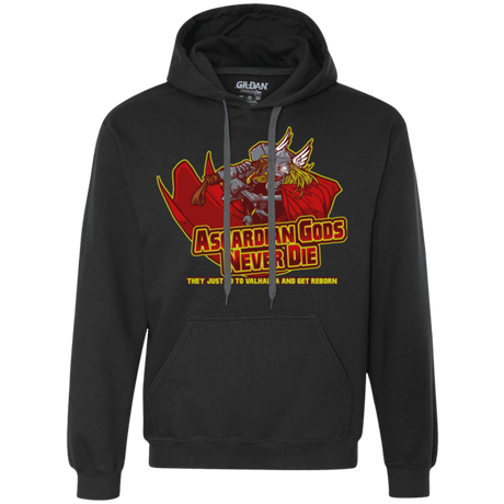 Sweatshirts Black / S Asgardian Premium Fleece Hoodie