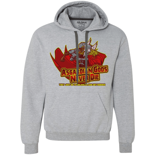 Sweatshirts Sport Grey / S Asgardian Premium Fleece Hoodie