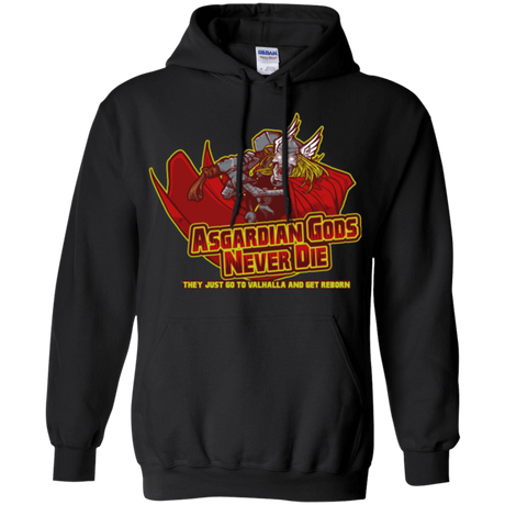 Sweatshirts Black / S Asgardian Pullover Hoodie