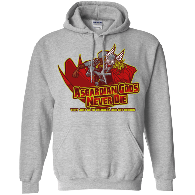 Sweatshirts Sport Grey / S Asgardian Pullover Hoodie