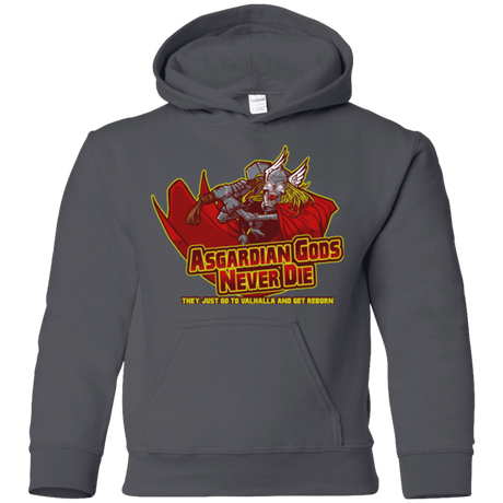 Sweatshirts Charcoal / YS Asgardian Youth Hoodie