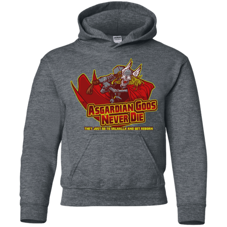 Sweatshirts Dark Heather / YS Asgardian Youth Hoodie