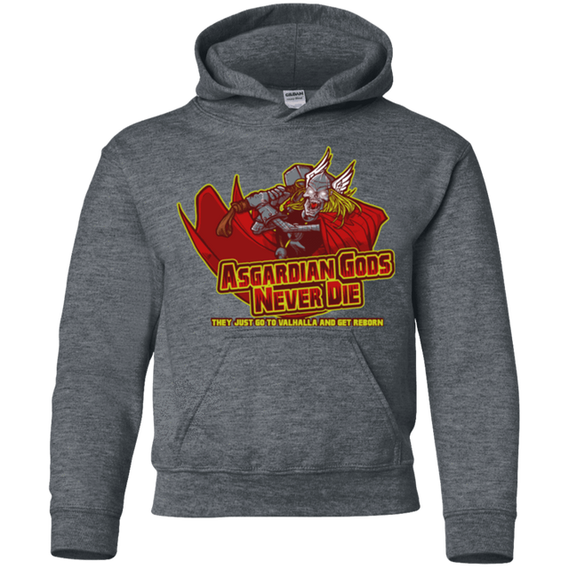 Sweatshirts Dark Heather / YS Asgardian Youth Hoodie