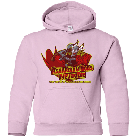 Sweatshirts Light Pink / YS Asgardian Youth Hoodie