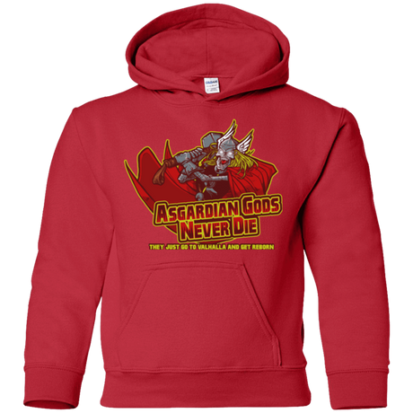 Sweatshirts Red / YS Asgardian Youth Hoodie