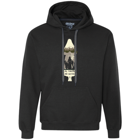 Sweatshirts Black / Small asylum Premium Fleece Hoodie