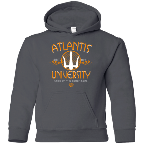 Sweatshirts Charcoal / YS Atlantis University Youth Hoodie