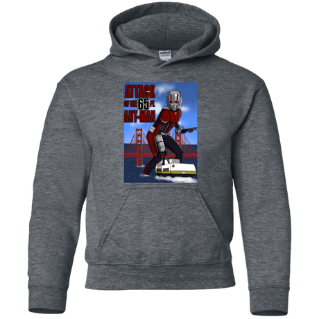 Sweatshirts Dark Heather / YS Attack of the 65 ft. Ant-Man Youth Hoodie