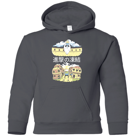 Sweatshirts Charcoal / YS Attack on Freeze Youth Hoodie