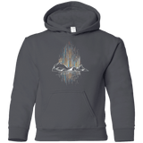 Sweatshirts Charcoal / YS Aurora Youth Hoodie