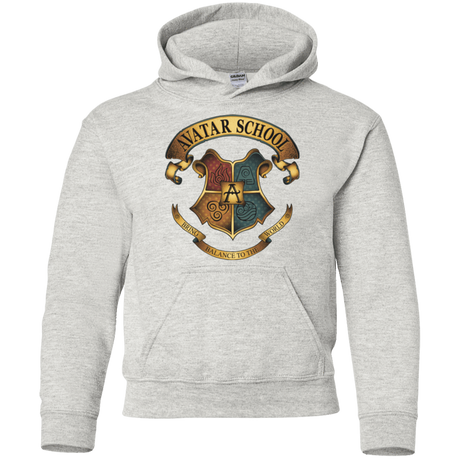 Sweatshirts Ash / YS Avatar School (2) Youth Hoodie