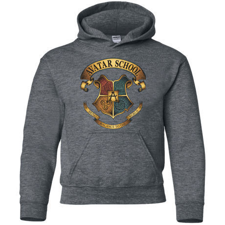 Sweatshirts Dark Heather / YS Avatar School (2) Youth Hoodie