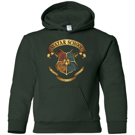 Sweatshirts Forest Green / YS Avatar School (2) Youth Hoodie