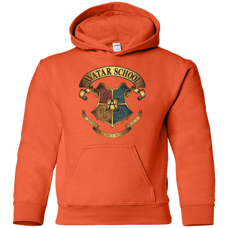 Sweatshirts Orange / YS Avatar School (2) Youth Hoodie