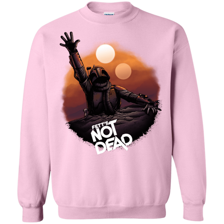 Sweatshirts Light Pink / Small Back From The Pit Crewneck Sweatshirt