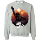 Sweatshirts Sport Grey / Small Back From The Pit Crewneck Sweatshirt