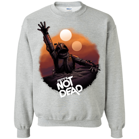 Sweatshirts Sport Grey / Small Back From The Pit Crewneck Sweatshirt