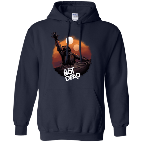 Sweatshirts Navy / Small Back From The Pit Pullover Hoodie