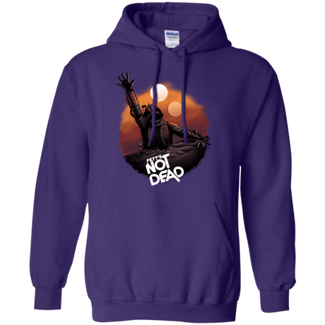 Sweatshirts Purple / Small Back From The Pit Pullover Hoodie