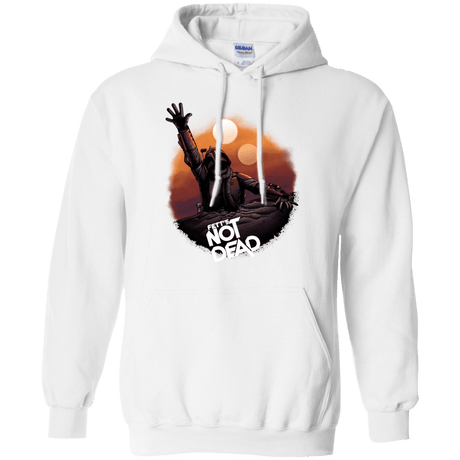 Sweatshirts White / Small Back From The Pit Pullover Hoodie