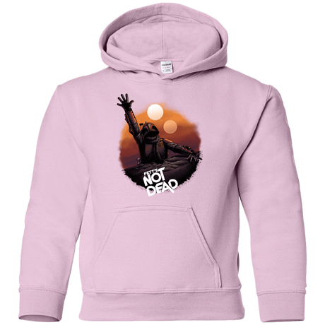 Sweatshirts Light Pink / YS Back From The Pit Youth Hoodie
