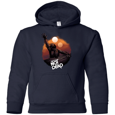 Sweatshirts Navy / YS Back From The Pit Youth Hoodie