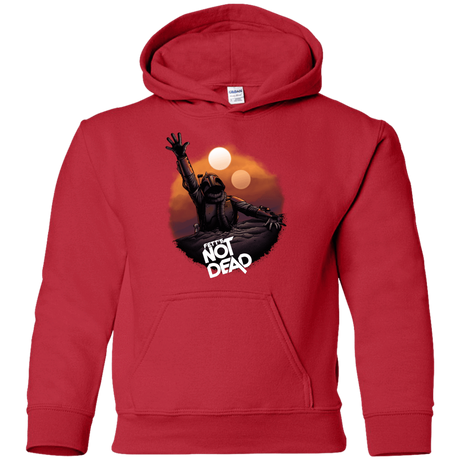 Sweatshirts Red / YS Back From The Pit Youth Hoodie