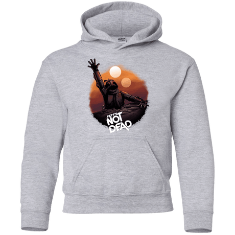 Sweatshirts Sport Grey / YS Back From The Pit Youth Hoodie