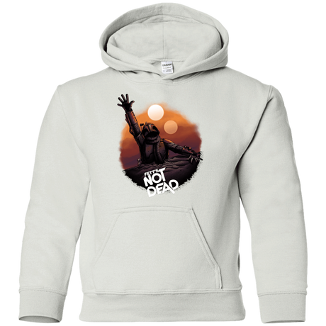 Sweatshirts White / YS Back From The Pit Youth Hoodie