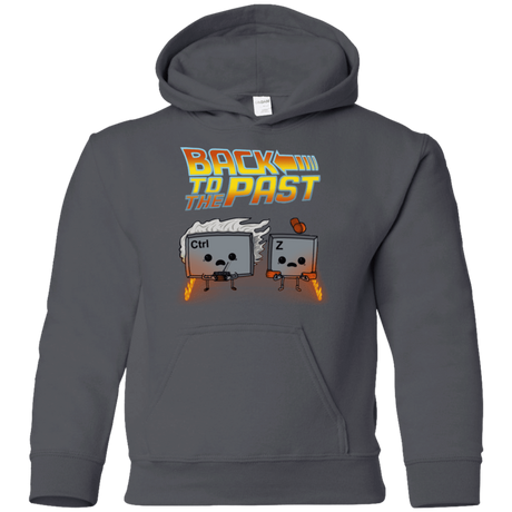 Sweatshirts Charcoal / YS Back To The Past Youth Hoodie