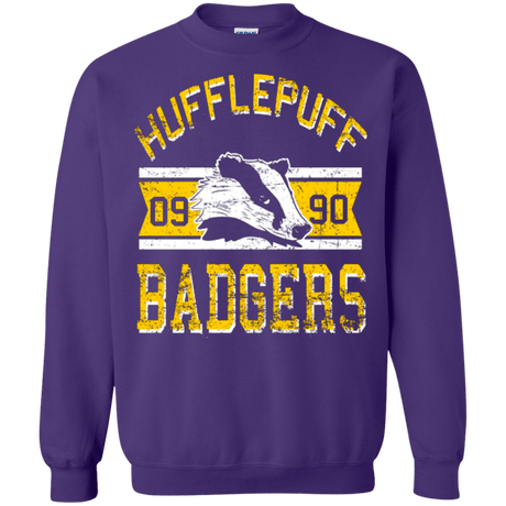 Sweatshirts Purple / Small Badgers Crewneck Sweatshirt