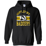 Sweatshirts Black / Small Badgers Pullover Hoodie