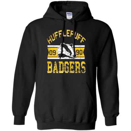 Sweatshirts Black / Small Badgers Pullover Hoodie