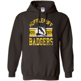 Sweatshirts Dark Chocolate / Small Badgers Pullover Hoodie