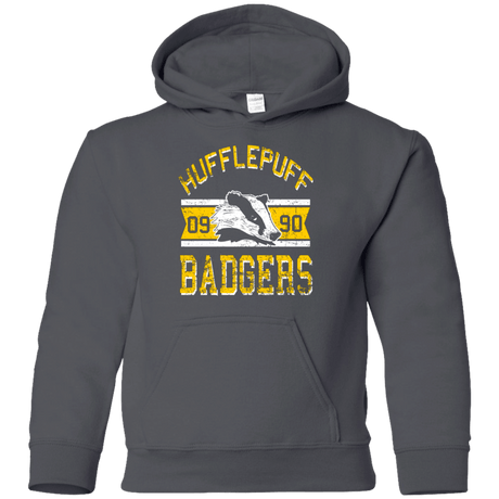 Sweatshirts Charcoal / YS Badgers Youth Hoodie