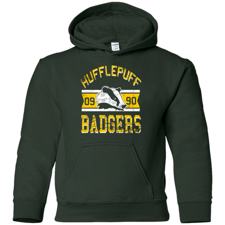 Sweatshirts Forest Green / YS Badgers Youth Hoodie