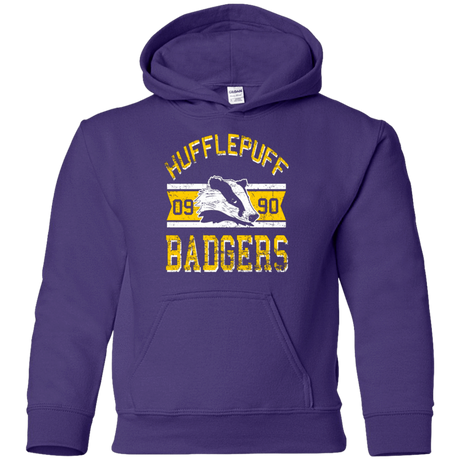 Sweatshirts Purple / YS Badgers Youth Hoodie