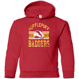 Sweatshirts Red / YS Badgers Youth Hoodie