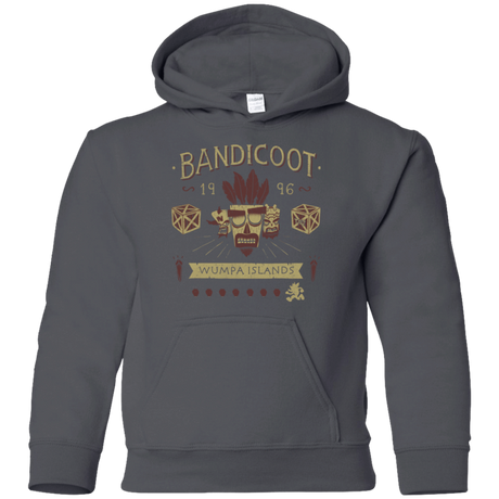 Sweatshirts Charcoal / YS Bandicoot Time Youth Hoodie