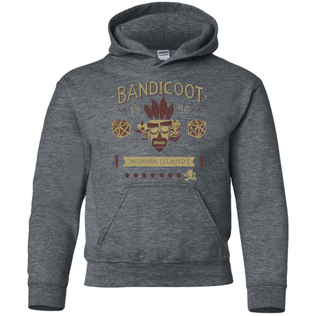 Sweatshirts Dark Heather / YS Bandicoot Time Youth Hoodie